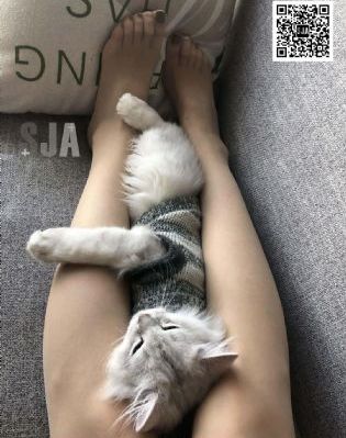 4399电视剧免费播放在线观看_BD免费电视剧
