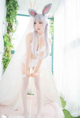 最强大脑第十季_1080影视在线观看