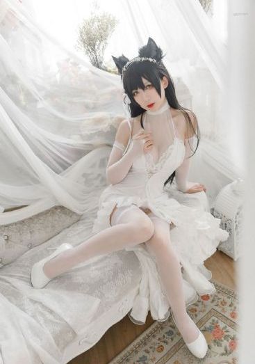凯蒂夫人_BD国语电影免费在线